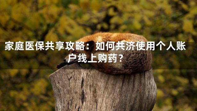 家庭医保共享攻略：如何共济使用个人账户线上购药？