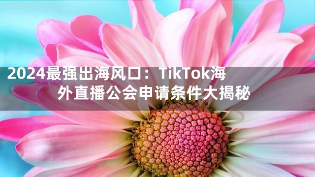 2024最强出海风口：TikTok海外直播公会申请条件大揭秘