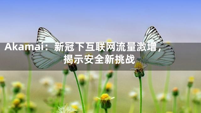 Akamai：新冠下互联网流量激增，揭示安全新挑战