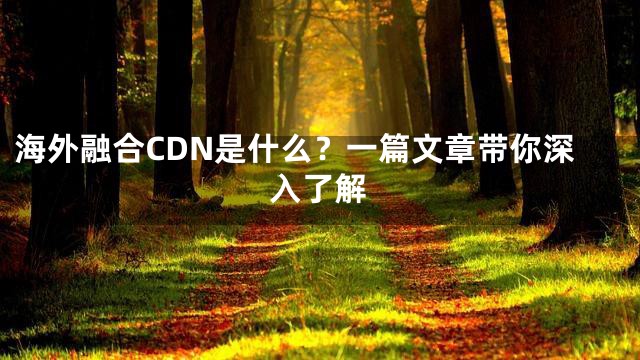 海外融合CDN是什么？一篇文章带你深入了解
