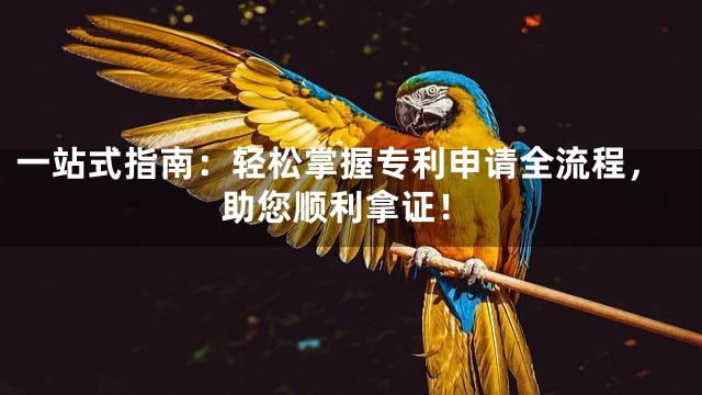 一站式指南：轻松掌握专利申请全流程，助您顺利拿证！