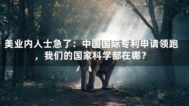 美业内人士急了：中国国际专利申请领跑，我们的国家科学部在哪？
