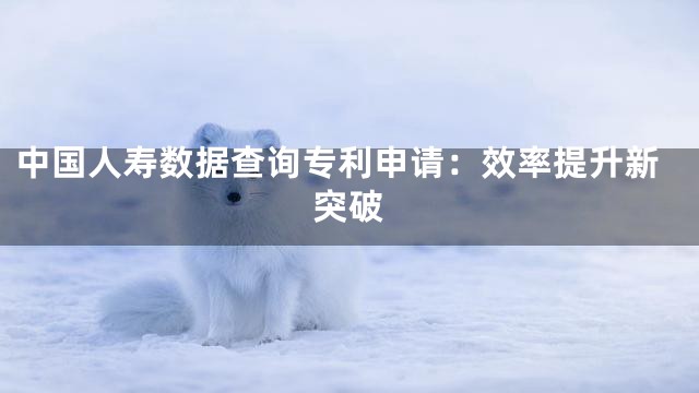 中国人寿数据查询专利申请：效率提升新突破