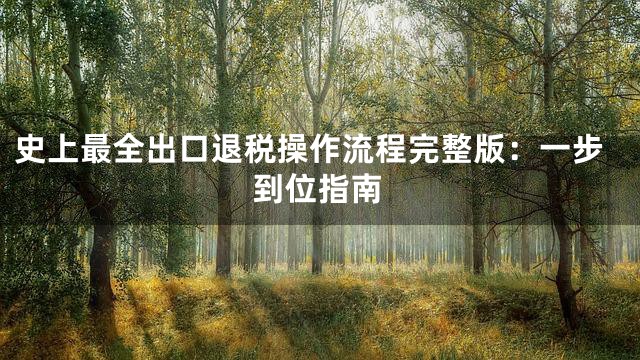 史上最全出口退税操作流程完整版：一步到位指南