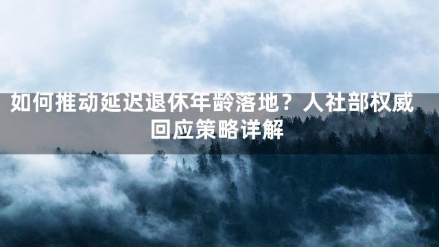 如何推动延迟退休年龄落地？人社部权威回应策略详解
