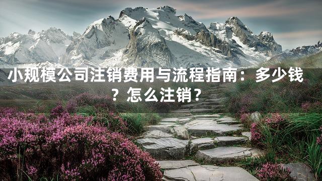 小规模公司注销费用与流程指南：多少钱？怎么注销？