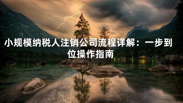 小规模纳税人注销公司流程详解：一步到位操作指南
