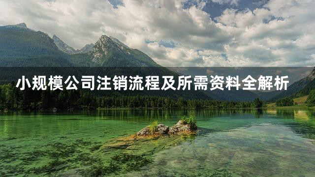 小规模公司注销流程及所需资料全解析