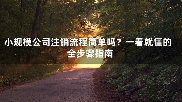 小规模公司注销流程简单吗？一看就懂的全步骤指南