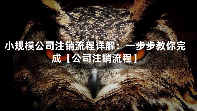 小规模公司注销流程详解：一步步教你完成【公司注销流程】