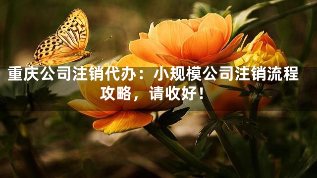 重庆公司注销代办：小规模公司注销流程攻略，请收好！