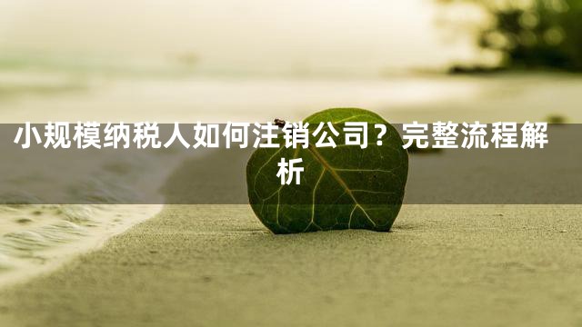 小规模纳税人如何注销公司？完整流程解析
