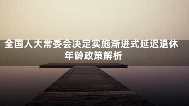 全国人大常委会决定实施渐进式延迟退休年龄政策解析