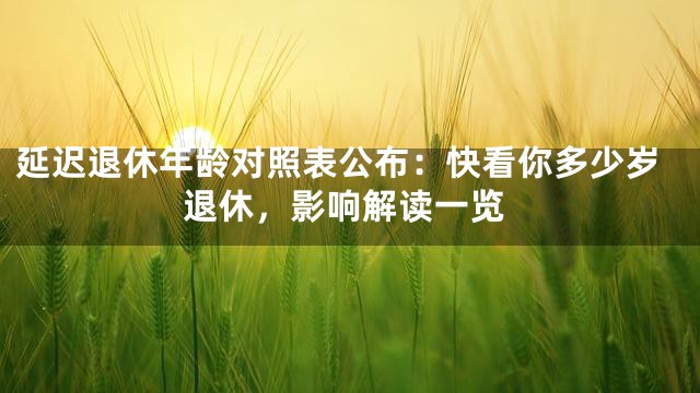延迟退休年龄对照表公布：快看你多少岁退休，影响解读一览