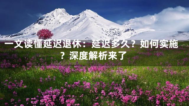 一文读懂延迟退休：延迟多久？如何实施？深度解析来了