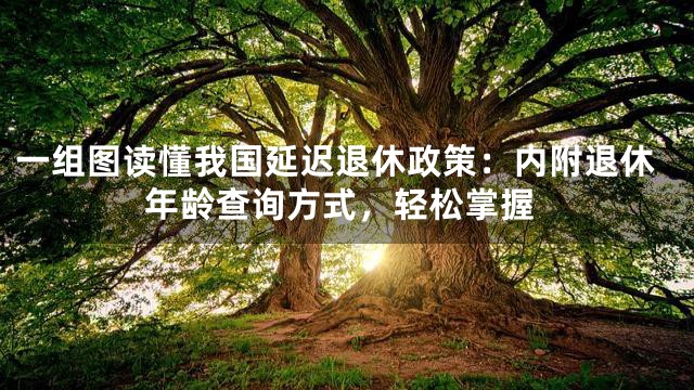 一组图读懂我国延迟退休政策：内附退休年龄查询方式，轻松掌握