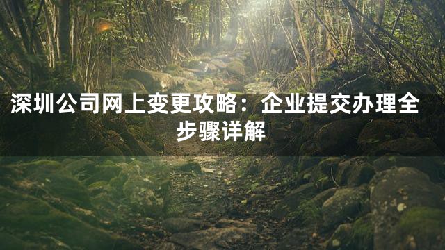 深圳公司网上变更攻略：企业提交办理全步骤详解