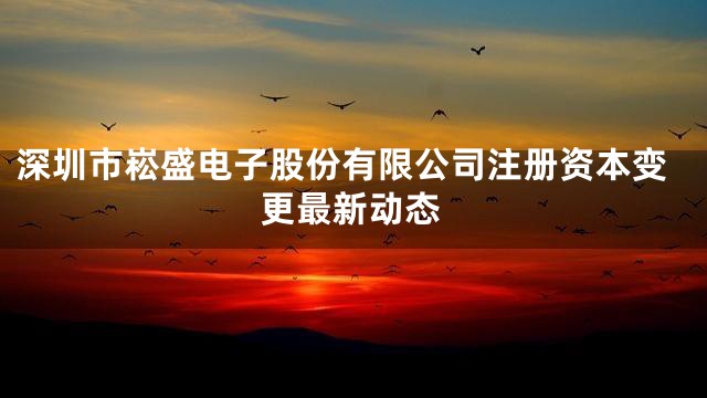深圳市崧盛电子股份有限公司注册资本变更最新动态