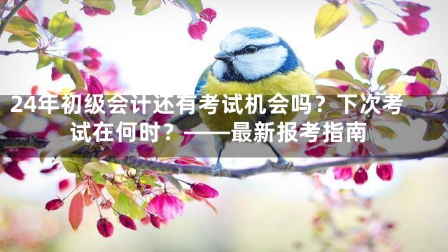 24年初级会计还有考试机会吗？下次考试在何时？——最新报考指南