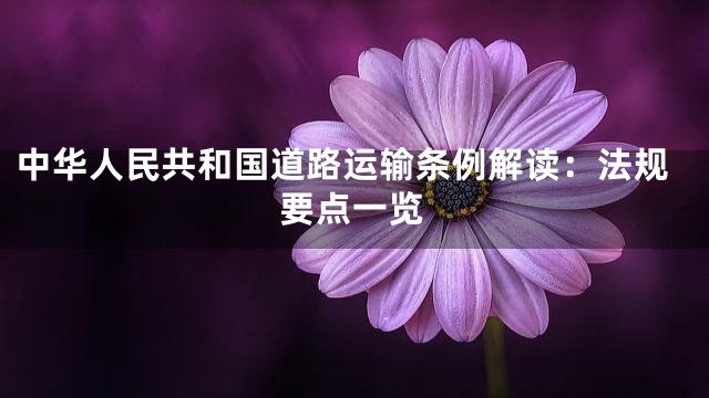 中华人民共和国道路运输条例解读：法规要点一览