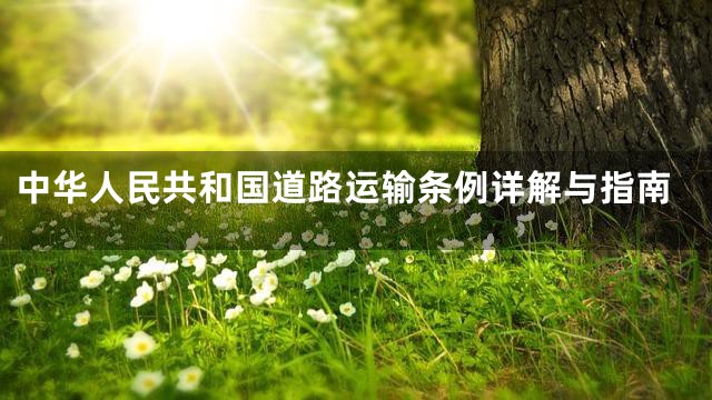 中华人民共和国道路运输条例详解与指南
