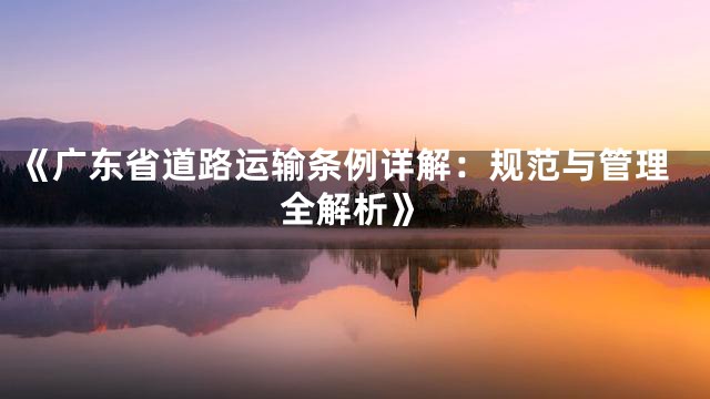 《广东省道路运输条例详解：规范与管理全解析》