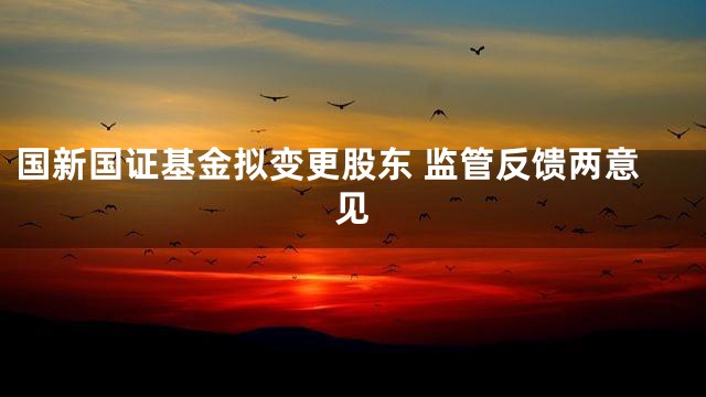 国新国证基金拟变更股东 监管反馈两意见