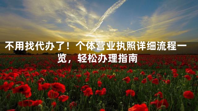 不用找代办了！个体营业执照详细流程一览，轻松办理指南