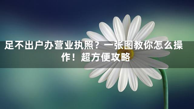 足不出户办营业执照？一张图教你怎么操作！超方便攻略