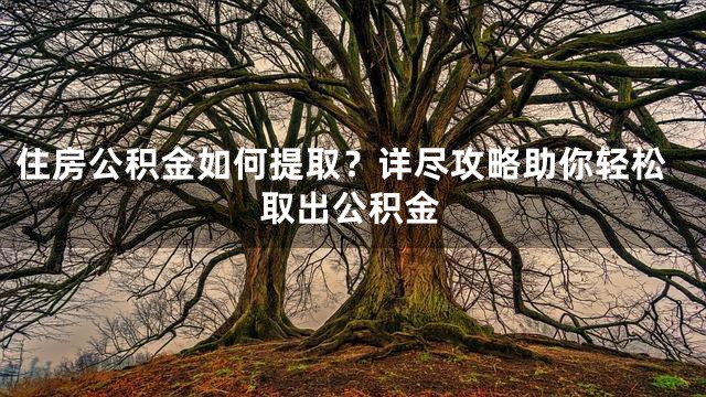 住房公积金如何提取？详尽攻略助你轻松取出公积金