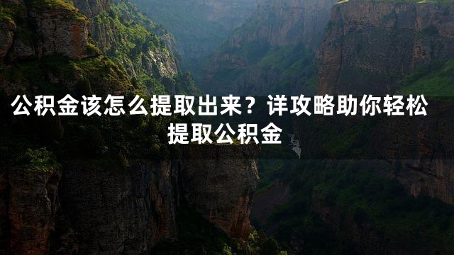 公积金该怎么提取出来？详攻略助你轻松提取公积金