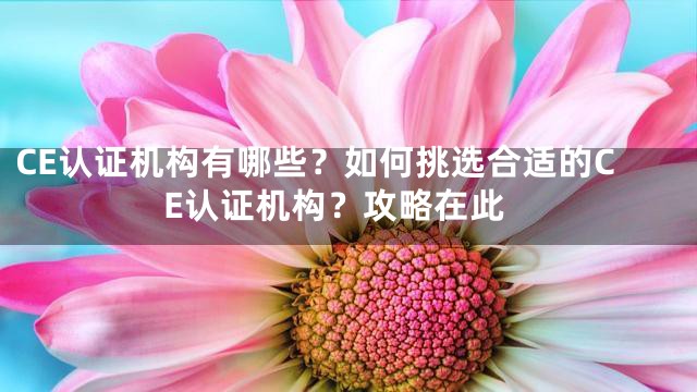 CE认证机构有哪些？如何挑选合适的CE认证机构？攻略在此