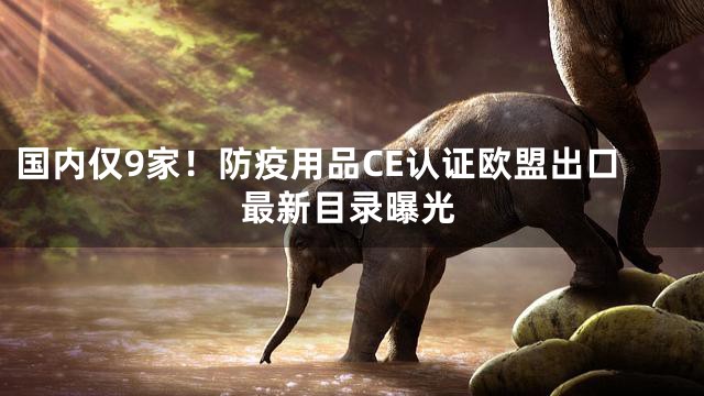 国内仅9家！防疫用品CE认证欧盟出口最新目录曝光