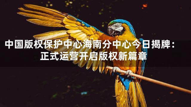 中国版权保护中心海南分中心今日揭牌：正式运营开启版权新篇章