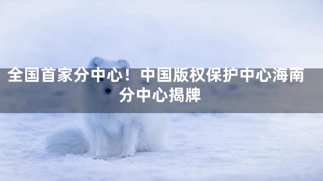 全国首家分中心！中国版权保护中心海南分中心揭牌
