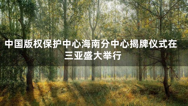 中国版权保护中心海南分中心揭牌仪式在三亚盛大举行