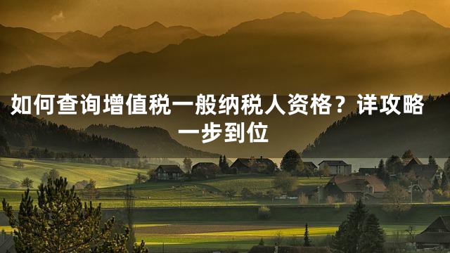 如何查询增值税一般纳税人资格？详攻略一步到位