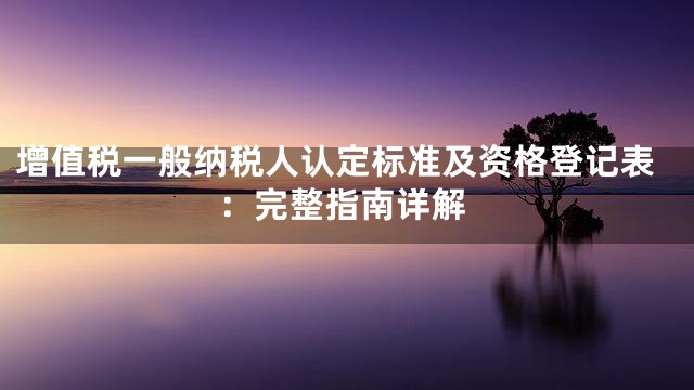 增值税一般纳税人认定标准及资格登记表：完整指南详解
