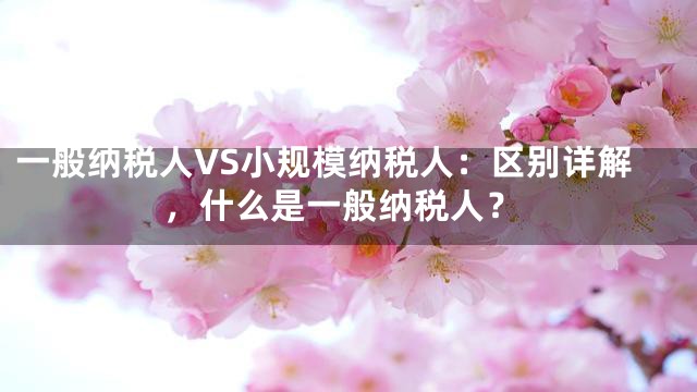 一般纳税人VS小规模纳税人：区别详解，什么是一般纳税人？