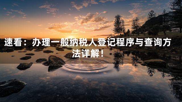 速看：办理一般纳税人登记程序与查询方法详解！