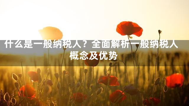 什么是一般纳税人？全面解析一般纳税人概念及优势