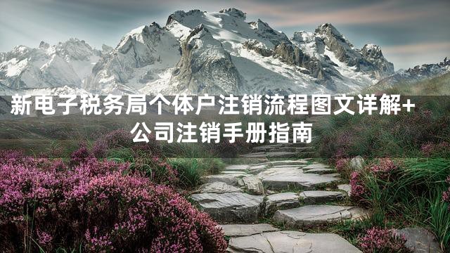 新电子税务局个体户注销流程图文详解+公司注销手册指南