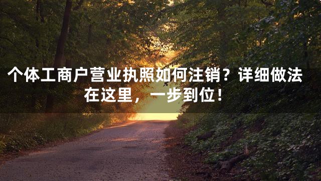 个体工商户营业执照如何注销？详细做法在这里，一步到位！