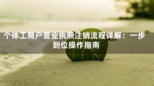 个体工商户营业执照注销流程详解：一步到位操作指南