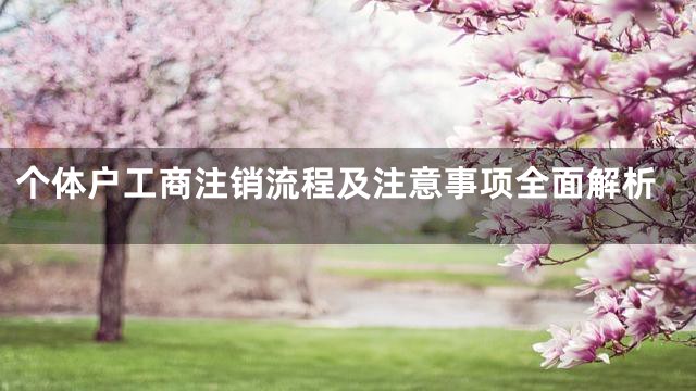 个体户工商注销流程及注意事项全面解析