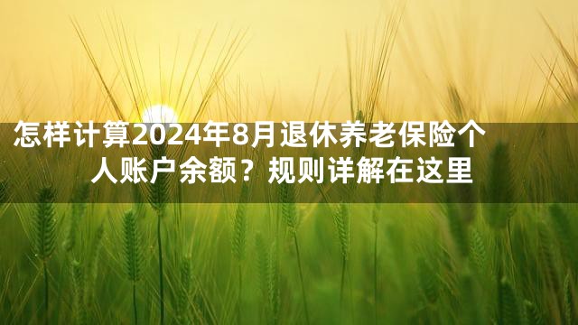 怎样计算2024年8月退休养老保险个人账户余额？规则详解在这里