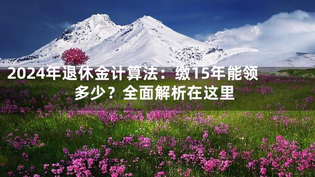 2024年退休金计算法：缴15年能领多少？全面解析在这里