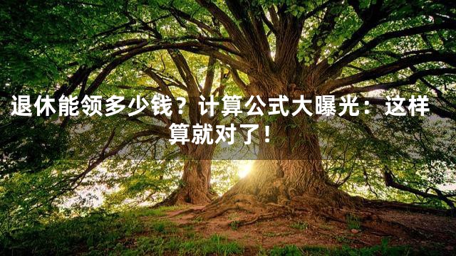 退休能领多少钱？计算公式大曝光：这样算就对了！