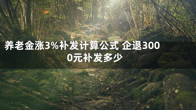 养老金涨3%补发计算公式 企退3000元补发多少