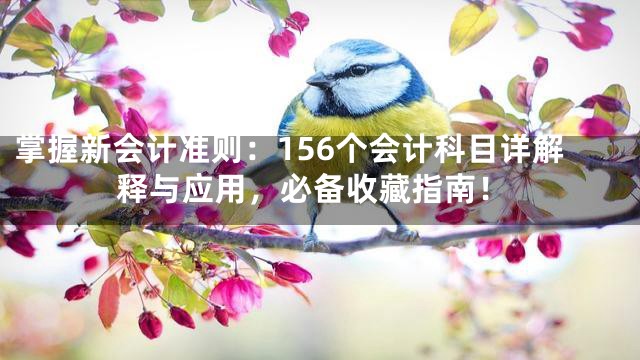 掌握新会计准则：156个会计科目详解释与应用，必备收藏指南！